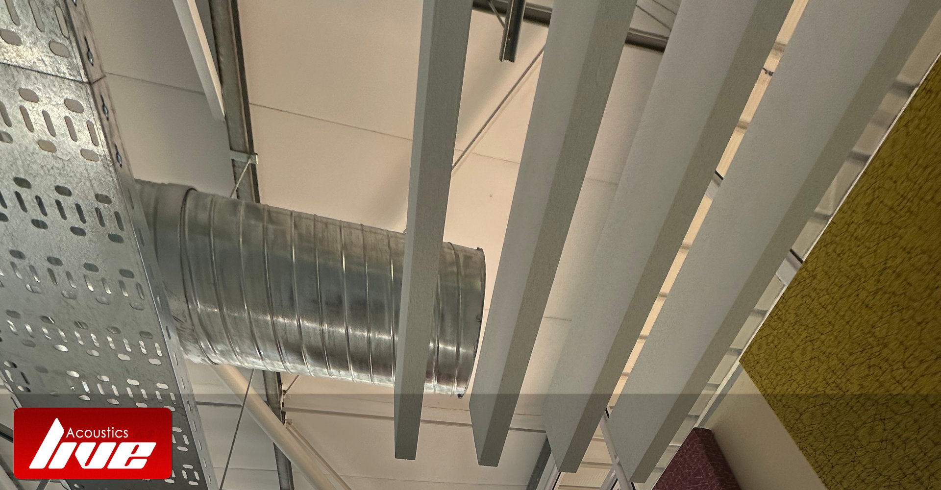 Acoustic Baffles and Wall Panels Botanical Gardens Pietermaritzburg