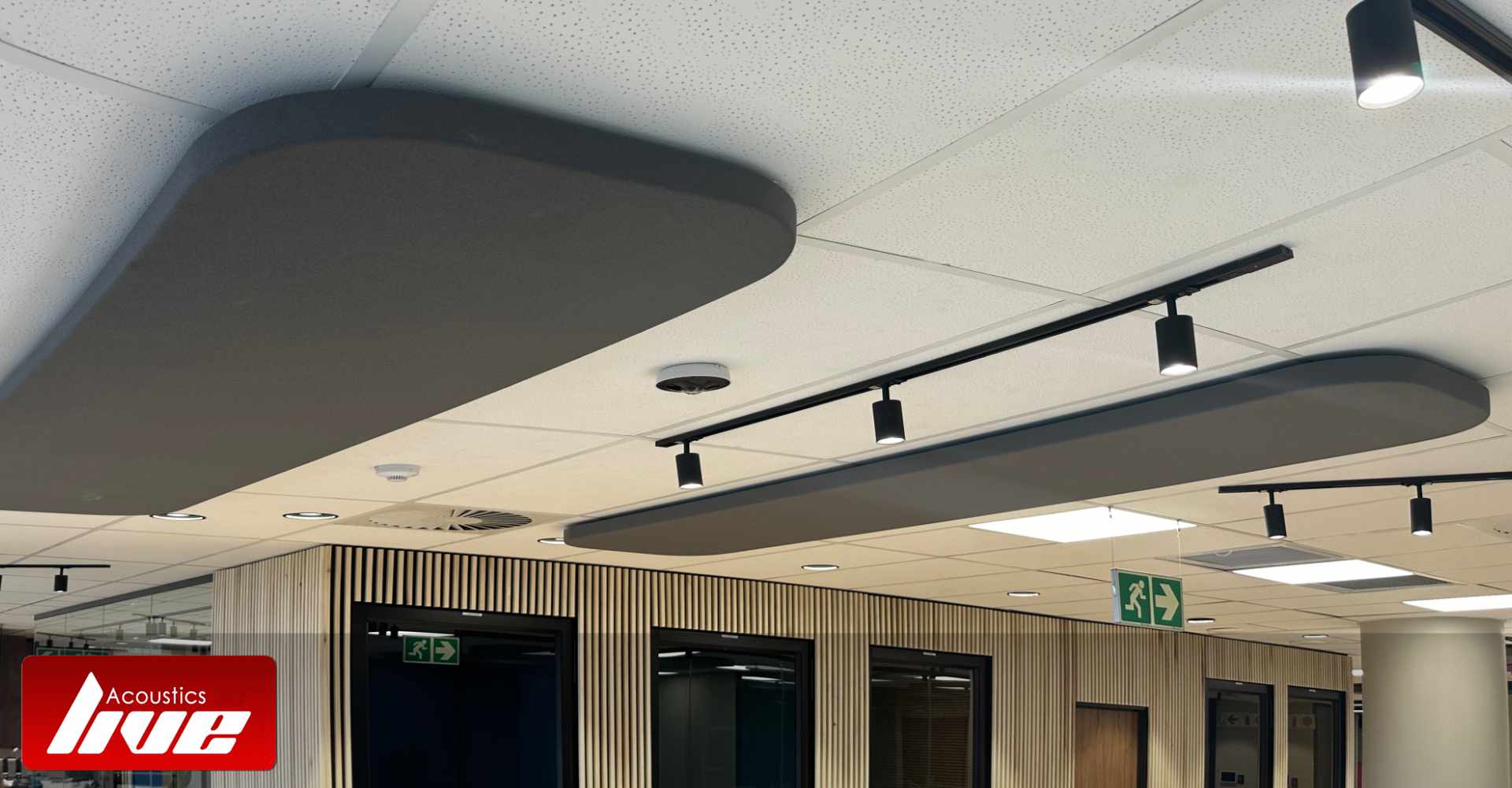 Acoustic Treatment Ocean Architects Spar Intenational Offices Umhlanga