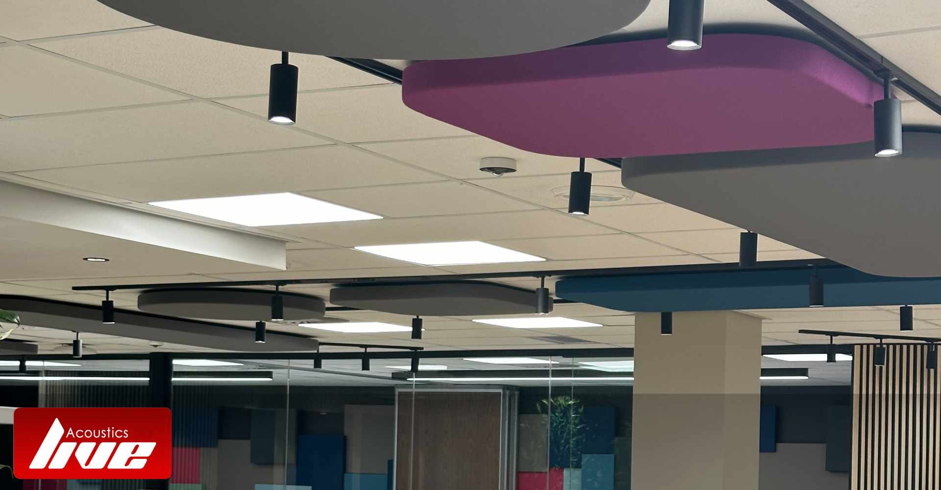 Acoustic Treatment Ocean Architects Spar Intenational Offices Umhlanga