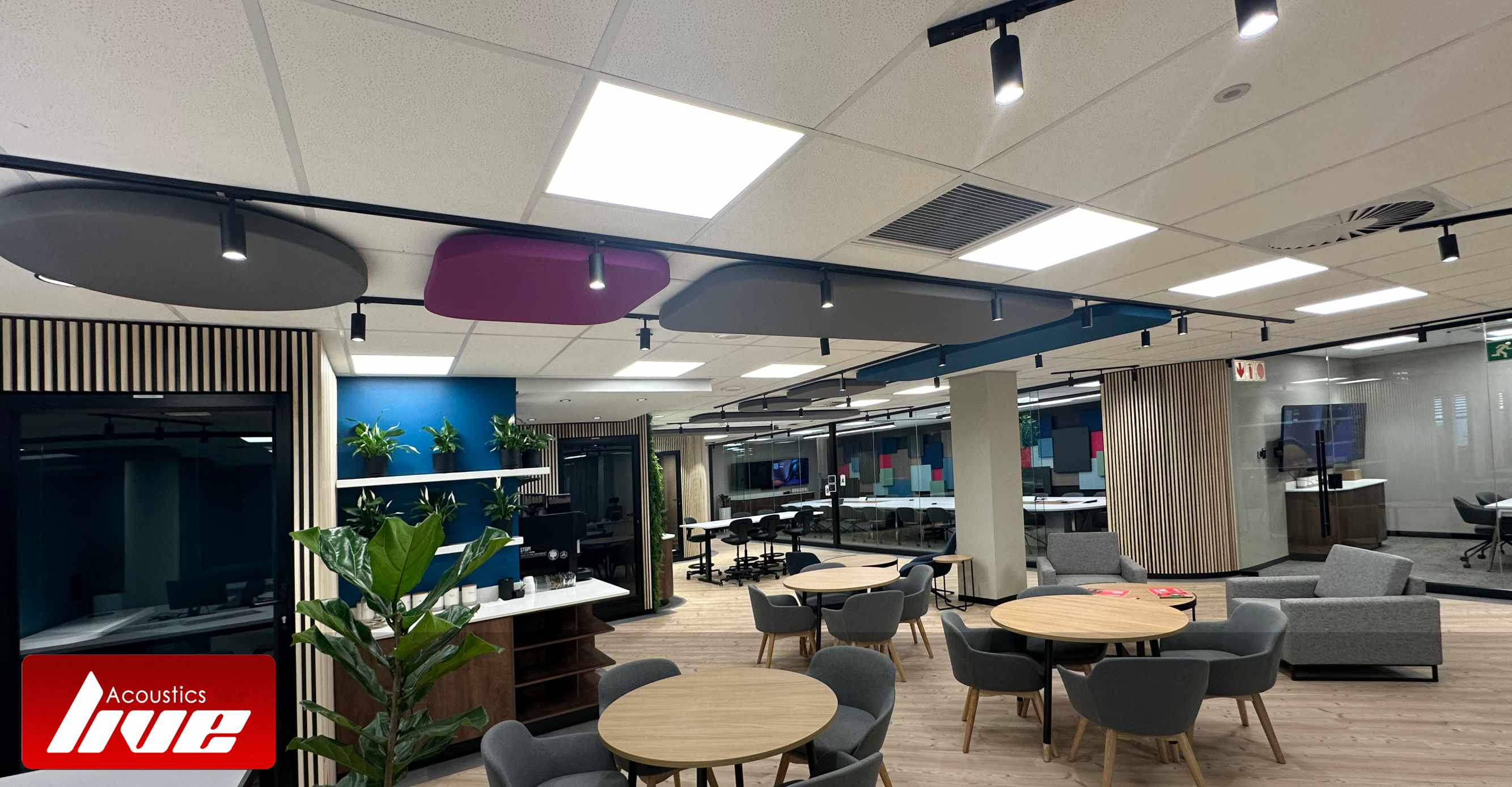 Acoustic Treatment Ocean Architects Spar Intenational Offices Umhlanga